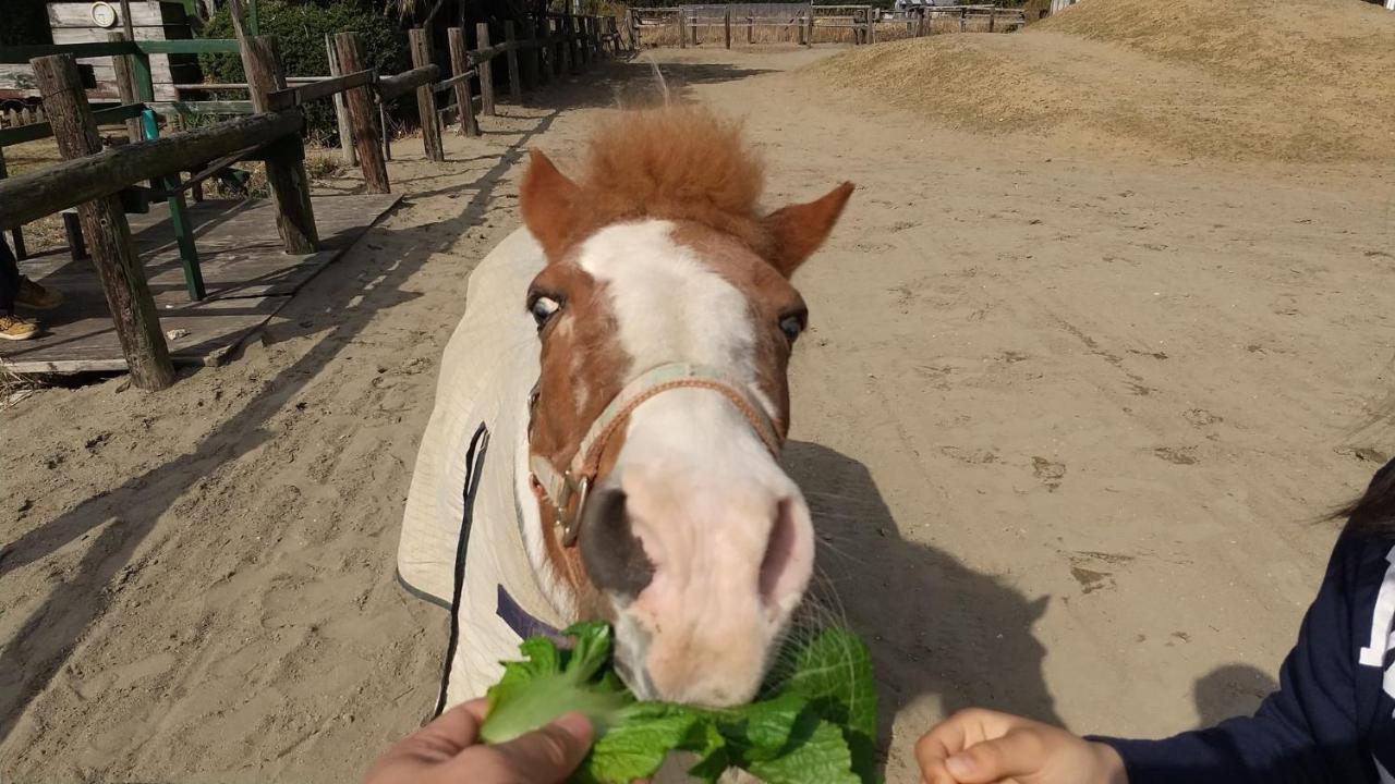 海辺のゲストハウスーぽかぽか村ー إيسي المظهر الخارجي الصورة