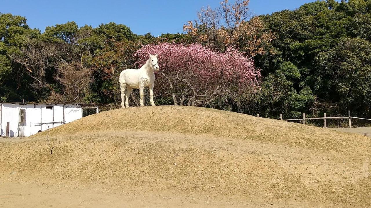 海辺のゲストハウスーぽかぽか村ー إيسي المظهر الخارجي الصورة